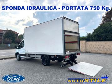 Ford Transit TDCi 130 cv Cassa - SPONDA IDRAULICA 