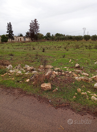 Terreno agricolo edificabile 1 ettaro a Copertino
