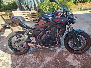 Kawasaki Z 650 anno 2023