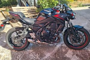 Kawasaki Z 650 anno 2023