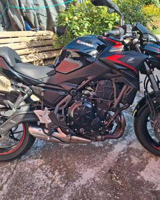 Kawasaki Z 650 anno 2023