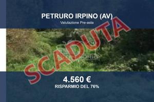 Immobile in asta di 4071 m² a Petruro Irpino