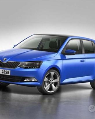Ricambi usati Skoda Fabia octavia 2010 2020