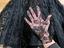 Immagine 4