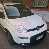 FIAT Panda 1.2 EasyPower City Life IN ARRIVO