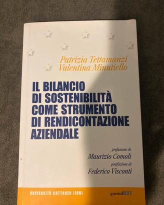 Il Bilancio di Sostenibilità-Tettamanzi Minutello