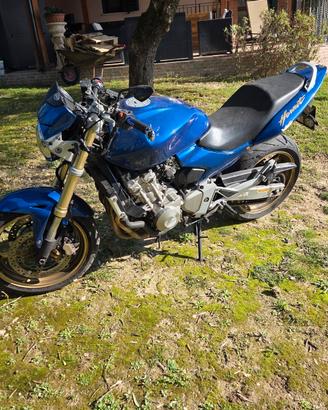 hornet 600 2004