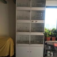 Gabbie per uccelli Terenziani