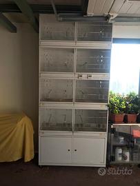 Gabbie per uccelli Terenziani