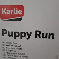 Puppy run recinto x cuccioli