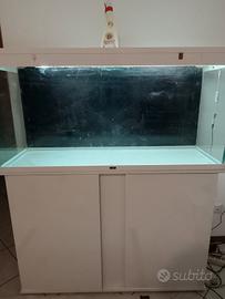 ACQUARIO CIANO 120(240 LT)