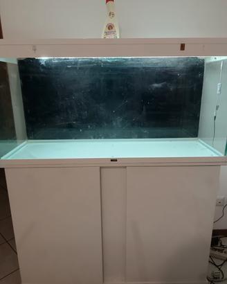 ACQUARIO CIANO 120(240 LT)