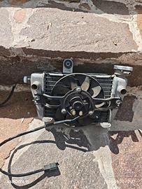 radiatore sixteen suzuki