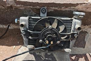 radiatore sixteen suzuki