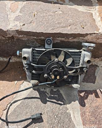 radiatore sixteen suzuki