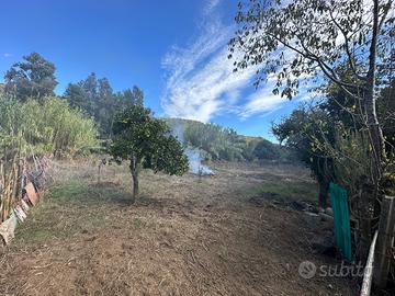 Terreno Agricolo: Pozzo, Piante, Rudere