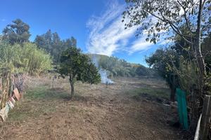 Terreno Agricolo: Pozzo, Piante, Rudere