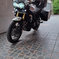 Tiger 800