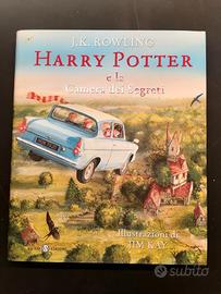 Harry Potter e la camera dei segreti.