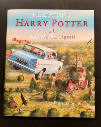 Harry Potter e la camera dei segreti.