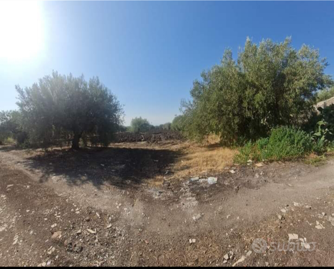 1 Terreno con Casetta - Vista 2