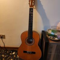 chitarra acustica sakura