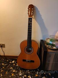 chitarra acustica sakura