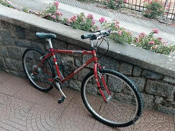 Bicicletta mtb
