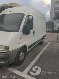 fiat ducato bianco