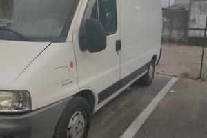 fiat ducato bianco
