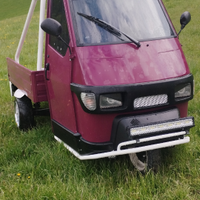 Ape 50