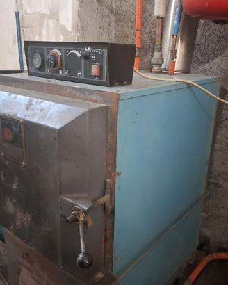 CALDAIA A BIOMASSA NOCCIOLINO SANSA PELLET