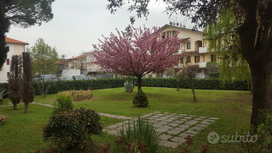 Terreno edificabile centro San Mauro Pascoli