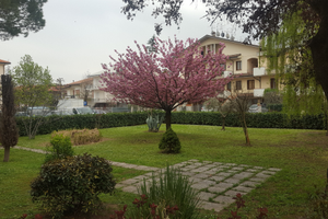 Terreno edificabile centro San Mauro Pascoli