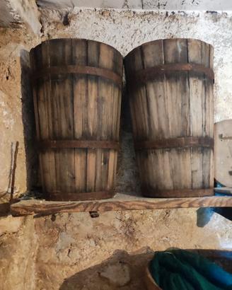 bigonzo per vino