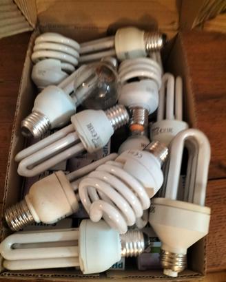 Lampadine a basso consumo e ad incandescenza