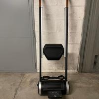 Vogatore professionale