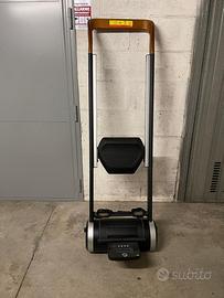 Vogatore professionale