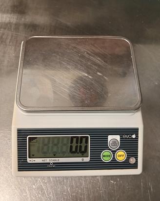 bilancia elettronica professionale eva