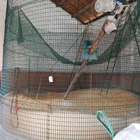 Silos per cereali con coclea
