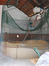Silos per cereali con coclea