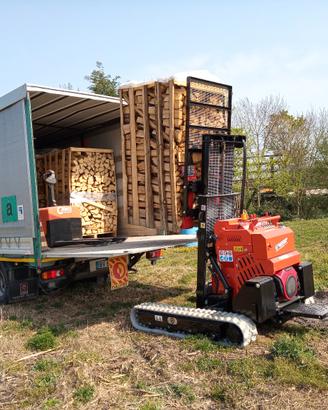 legna da ardere in bancali e pellet ENPlus A1
