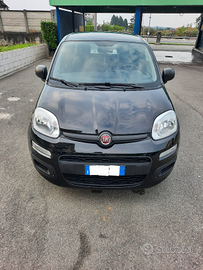 FIAT PANDA 1.0 HYBRID s&s 70cv
