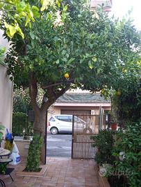 Terracina casa vacanza