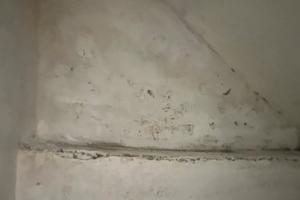 Piccolo deposito/ripostiglio