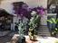 Immagine 2