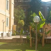 Casa a Roma due stanze doppie Roma centro