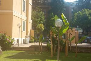 Casa a Roma due stanze doppie Roma centro