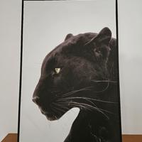 Quadro stampa Pantera 90x60cm