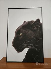 Quadro stampa Pantera 90x60cm
